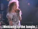 1682622398342.gif