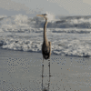 1683932004367.gif