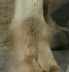 1687569786768.gif