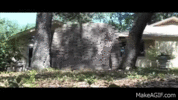 IMG_9994.gif