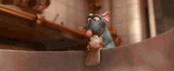 1690324809425.gif