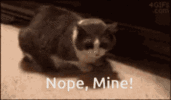 1690571487298.gif