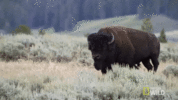 1691119714780.gif