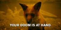 1691197018158.gif