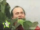 1691845824400.gif