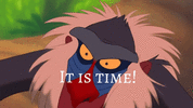 IMG_3724.gif
