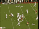 1693305766335.gif