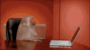 1693609717595.gif