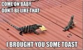 IMG_0699.jpeg