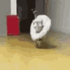 1694309053526.gif