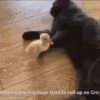 1694659190023.gif