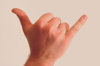 hang loose.jpg