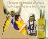 ImageUploadedByTapatalk1352002331.145782.jpg