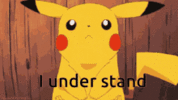 1694973839015.gif