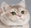 IMG_3791.gif