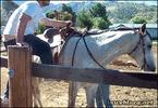 IMG_0463.gif