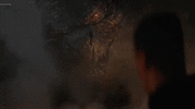 IMG_3805.gif