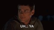 1696436775505.gif