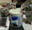 1697149760086.jpeg