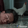 IMG_0602.gif