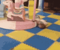 1697301476714.gif