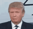 1698057921615.gif