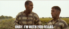 1698101048647.gif