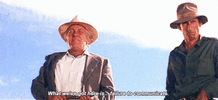 1698703599429.gif