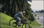 1698727120735.gif