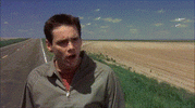 1699161231418.gif