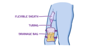 1700155176563.png