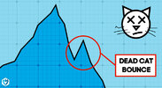 Blog_Dead_Cat_Bounce.jpg