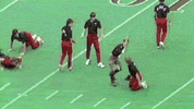 1701905824406.gif