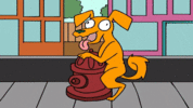 IMG_3081.gif