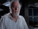 IMG_1393.gif