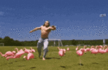 1703531847037.gif