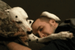 tmp1(1).gif