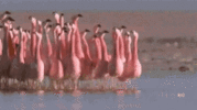 1707446708872.gif