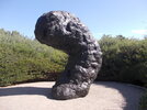 IMG_1946.jpeg