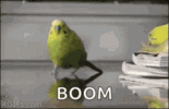 1716500281704.gif