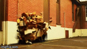 1717467641735.gif