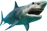 1732115276577.png