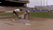 1746030894251.gif