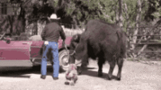 1746033221651.gif