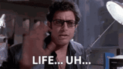 1748796470284.gif
