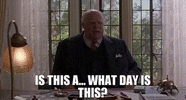 IMG_1576.gif