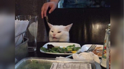 1750321978737.png