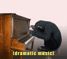 1757870312070.gif