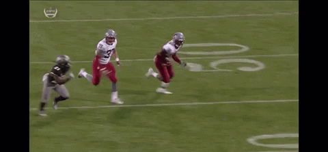 noyer.gif