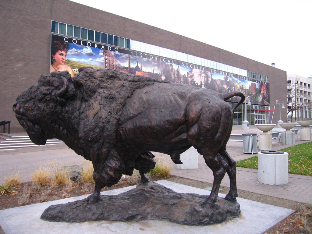 buffalo.jpg